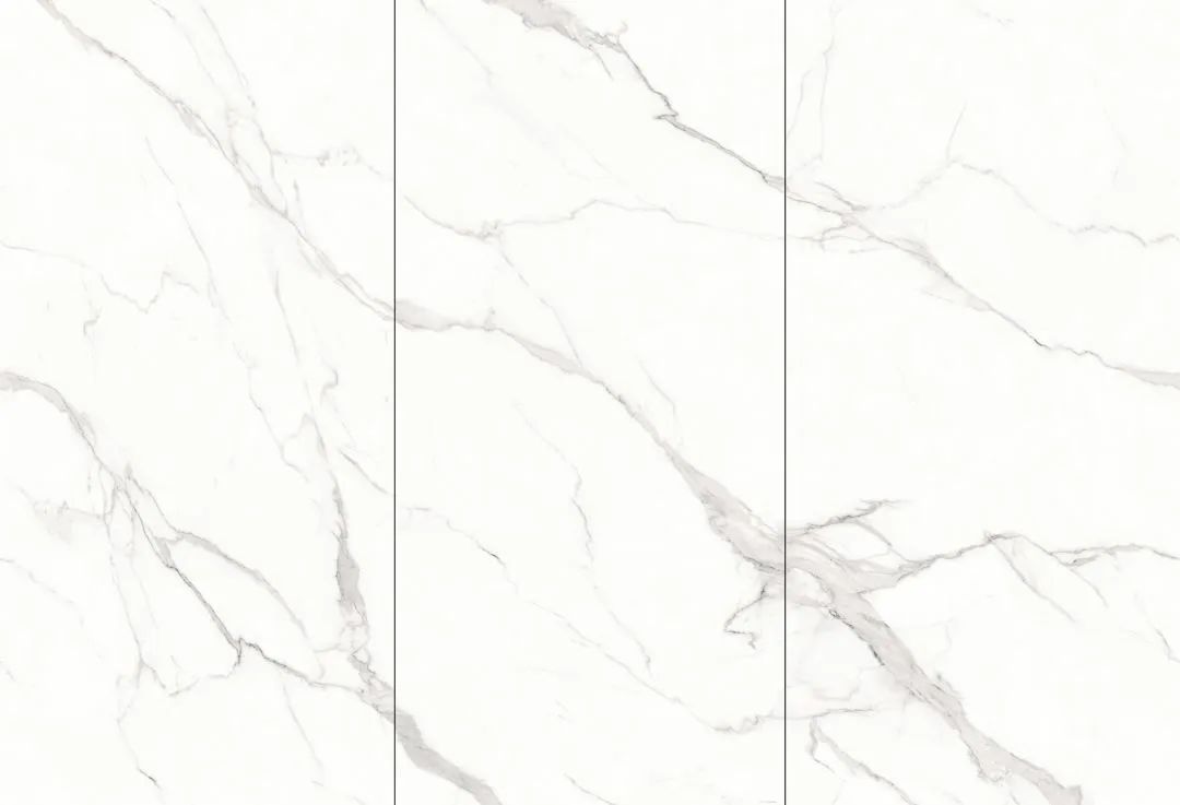 【新品】奢華定制，1600x3200mm成就大宅風范！(圖24)