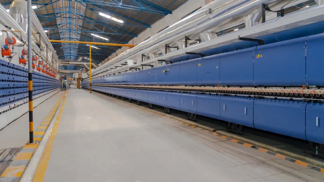 燃情晉江 跑出精彩|強輝×2025晉江馬拉松熱血開跑(圖14)